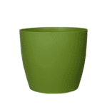 Urban Grden Plastic Green Colour Flower Pot