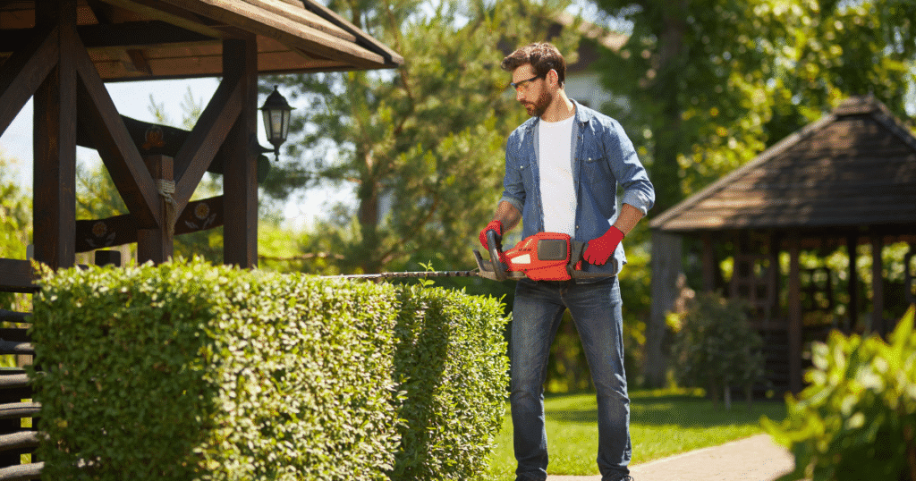 urban garden service page